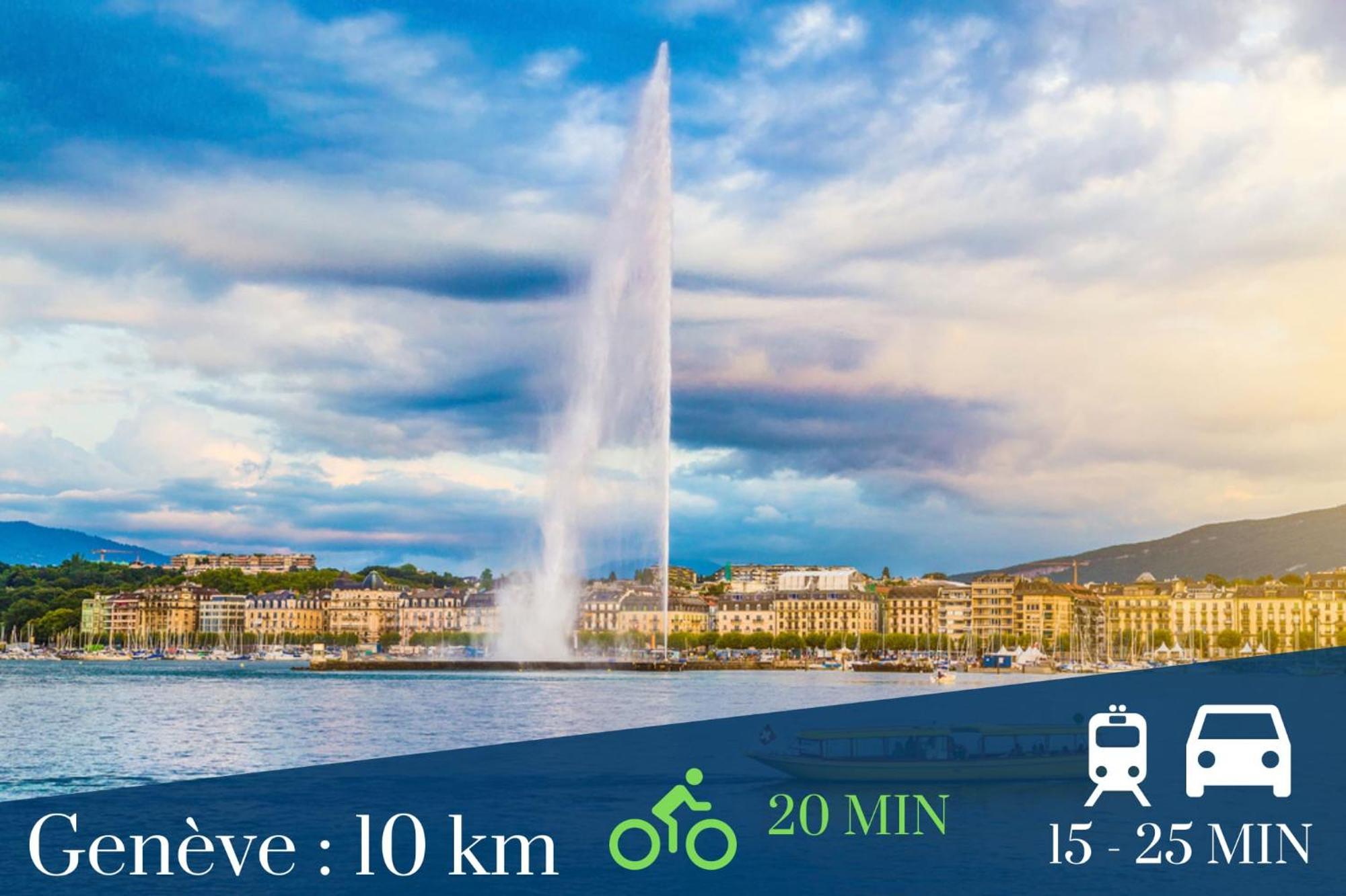 Homey Wild - Proche Gare Et Tram - Proche Centre - Balcon Prive - Parking Prive - Wifi Gratuit Annemasse Ngoại thất bức ảnh