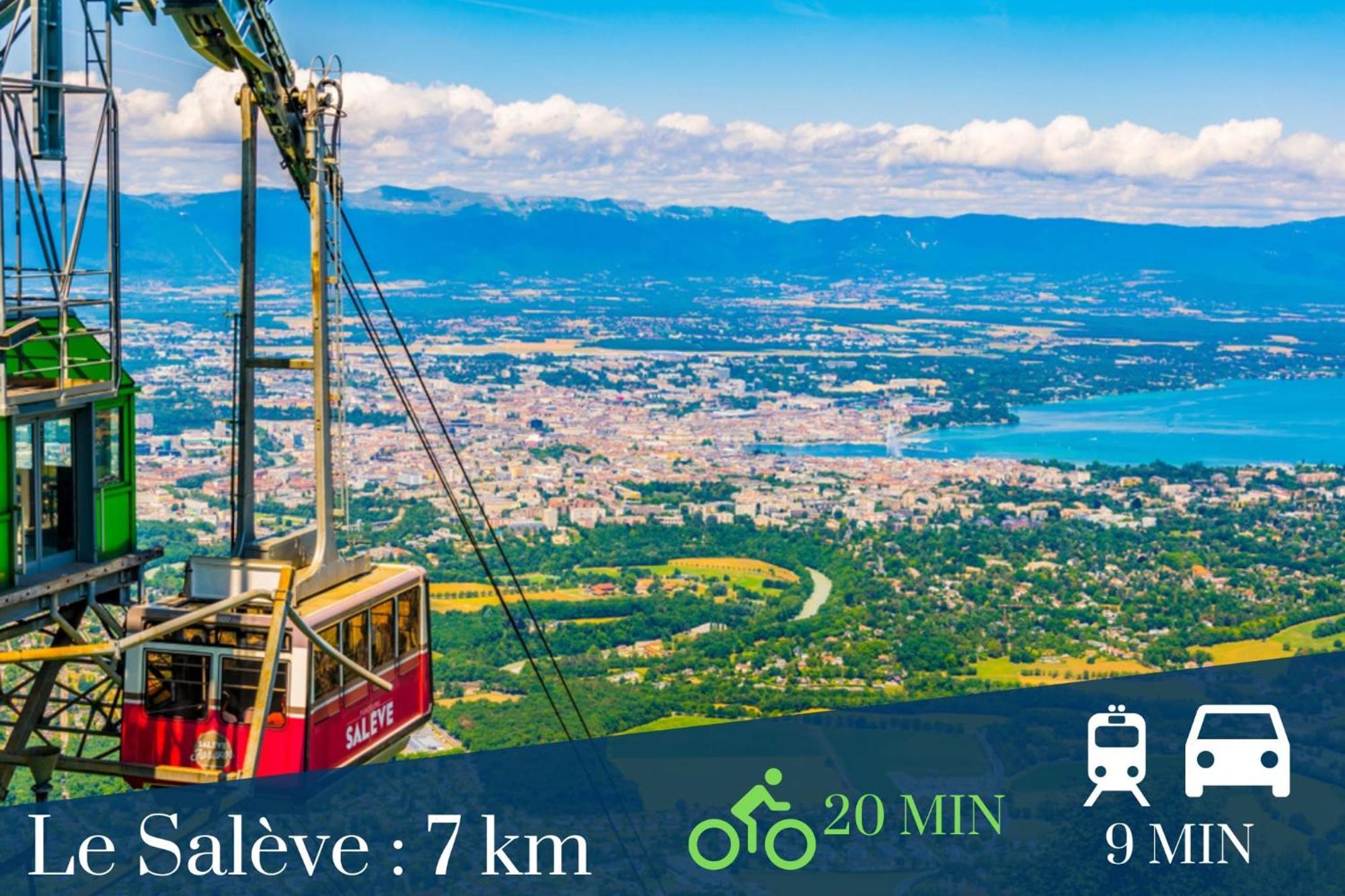 Homey Wild - Proche Gare Et Tram - Proche Centre - Balcon Prive - Parking Prive - Wifi Gratuit Annemasse Ngoại thất bức ảnh