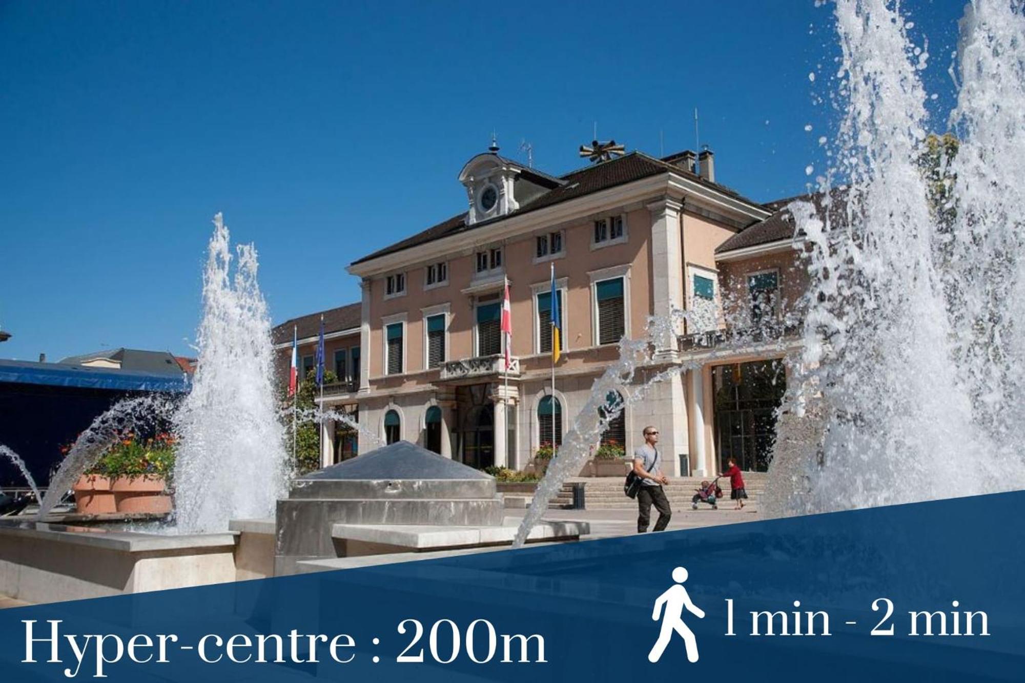 Homey Wild - Proche Gare Et Tram - Proche Centre - Balcon Prive - Parking Prive - Wifi Gratuit Annemasse Ngoại thất bức ảnh