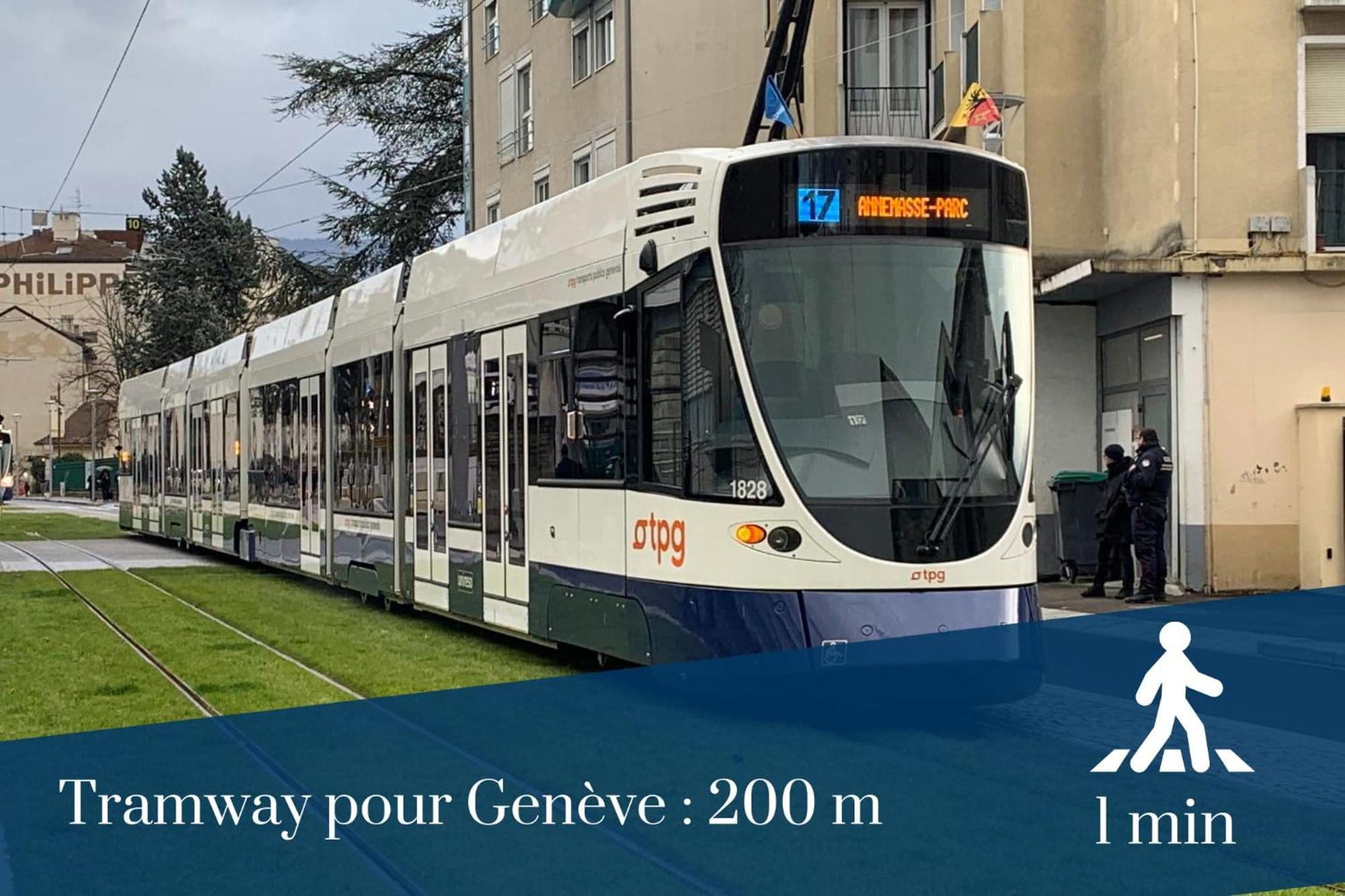 Homey Wild - Proche Gare Et Tram - Proche Centre - Balcon Prive - Parking Prive - Wifi Gratuit Annemasse Ngoại thất bức ảnh